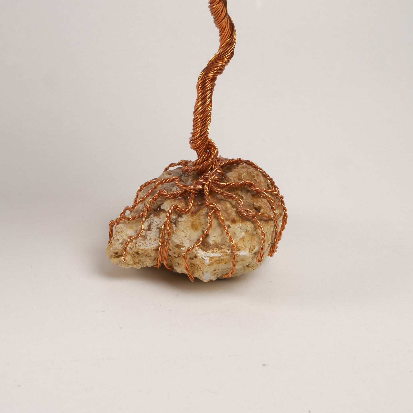 Bonsaï en fil de fer à feuillage cramoisi